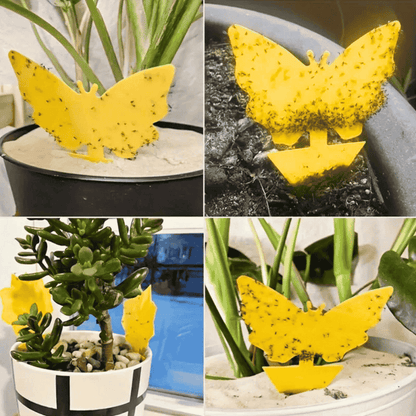 StickyPlant action